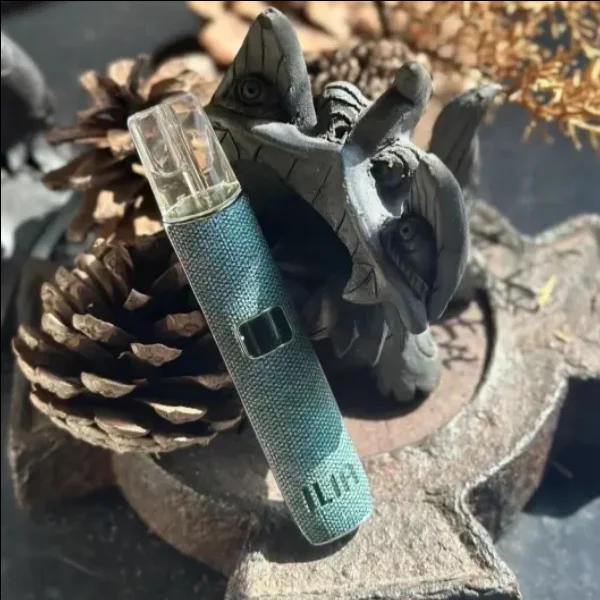 ILIA布紋主機