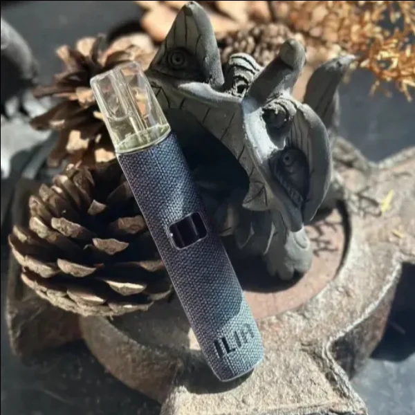 ILIA布紋主機