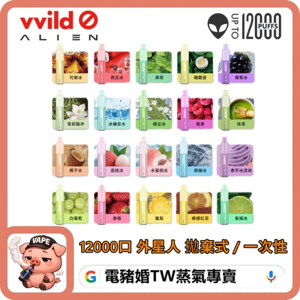VVILD 外星人拋棄式
