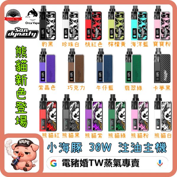 San Dynasty 小海豚主機